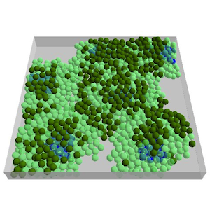 Tissue modelling
