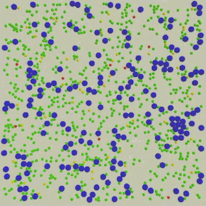 Cellular modelling